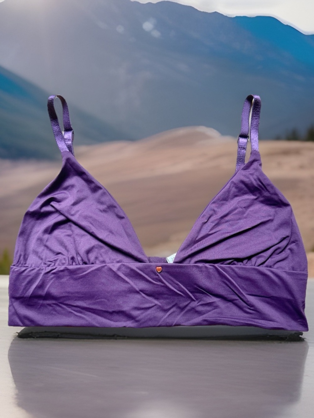 NWT Clo Intimo x Anthropologie Purple M Triangle Seamless Bra Bralette Smooth